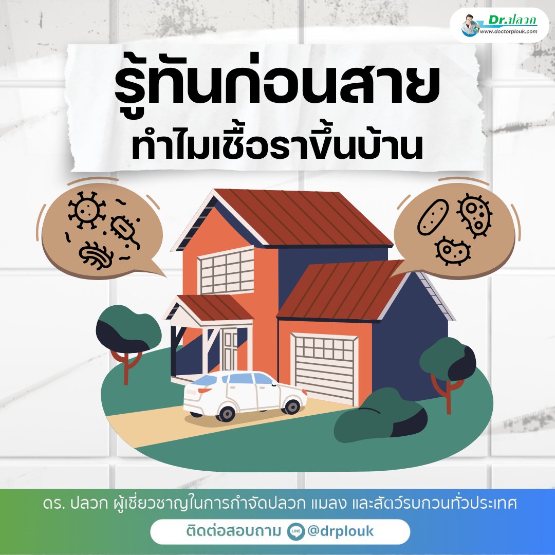 รูปภาพ รู้ทันก่อนสาย! ทำไมเชื้อราขึ้นบ้าน“Dr.ปลวก