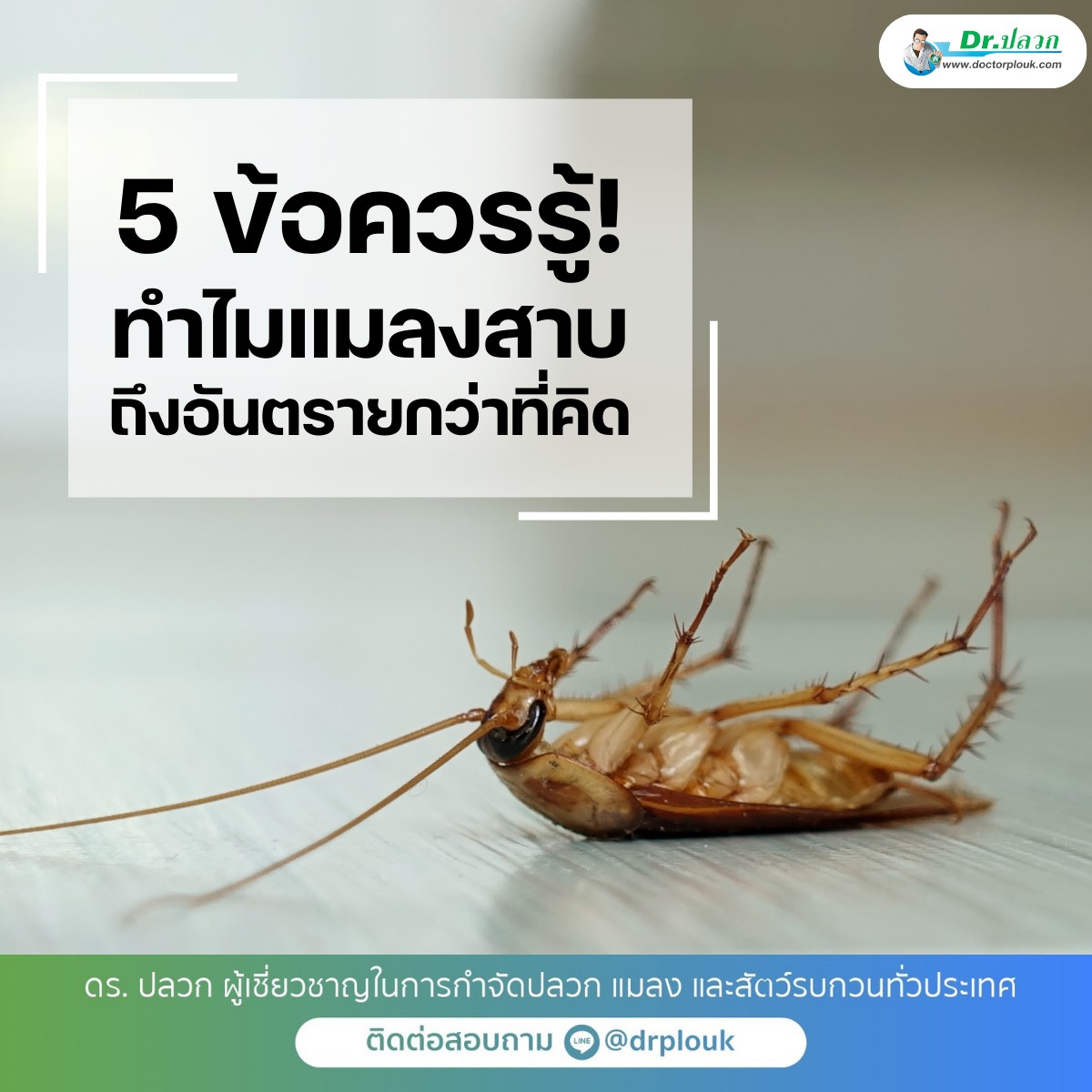 รูปภาพ 5 ข้อควรรู้! ทำไมแมลงสาบถึงอันตรายกว่าที่คิด?“Dr.ปลวก