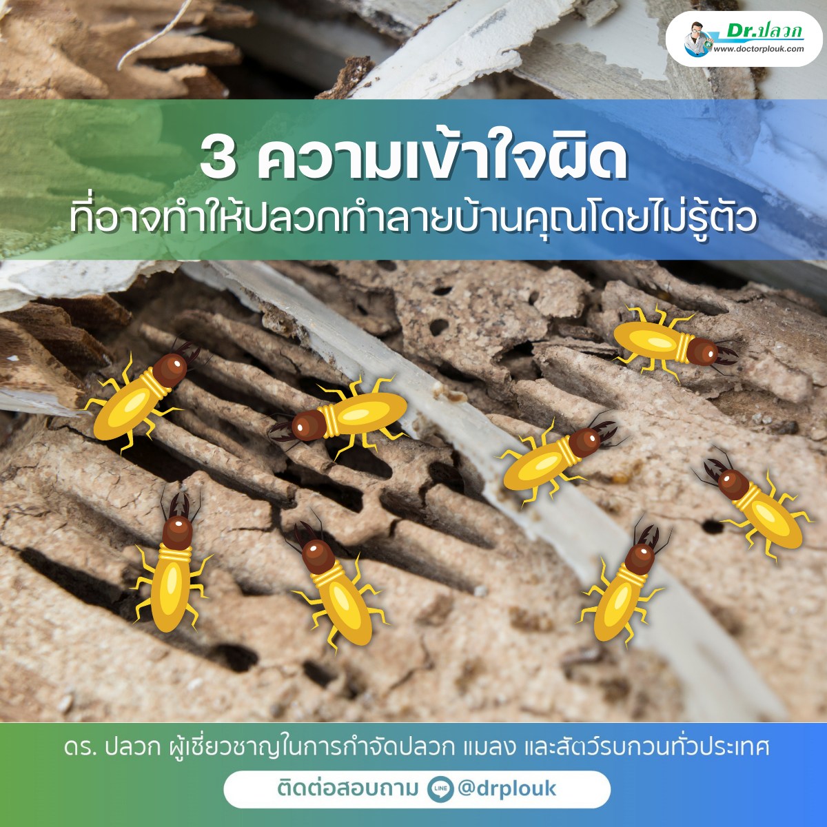 รูปภาพ 3 ความเข้าใจผิด! ที่อาจทำให้ปลวกทำลายบ้านคุณโดยไม่รู้ตัว“Dr.ปลวก