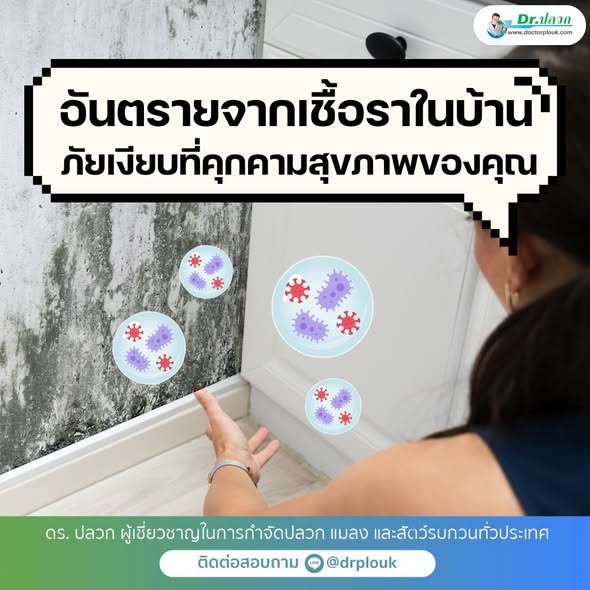 รูปภาพ อันตรายจากเชื้อราในบ้าน! ภัยเงียบที่คุกคามสุขภาพของคุณ“Dr.ปลวก