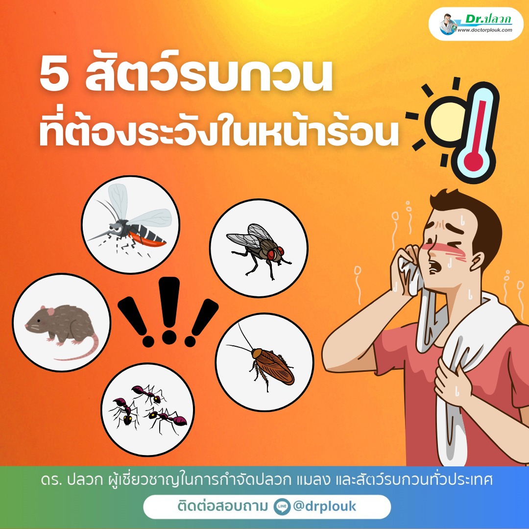 รูปภาพ 5 สัตว์รบกวน! ที่ต้องระวังในหน้าร้อน“Dr.ปลวก