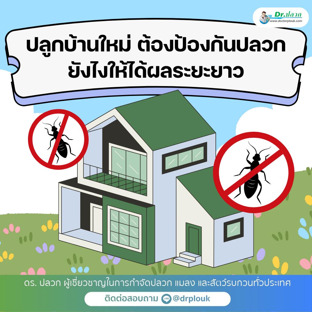 รูปภาพ ปลูกบ้านใหม่ต้องป้องกันปลวกยังไง? ให้ได้ผลระยะยาว!“Dr.ปลวก
