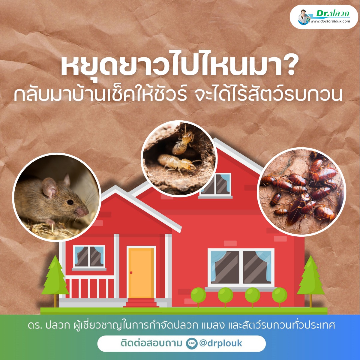 รูปภาพ หยุดยาวไปไหนมา? กลับมาบ้านเช็กให้ชัวร์ จะได้ไร้สัตว์รบกวน!“Dr.ปลวก