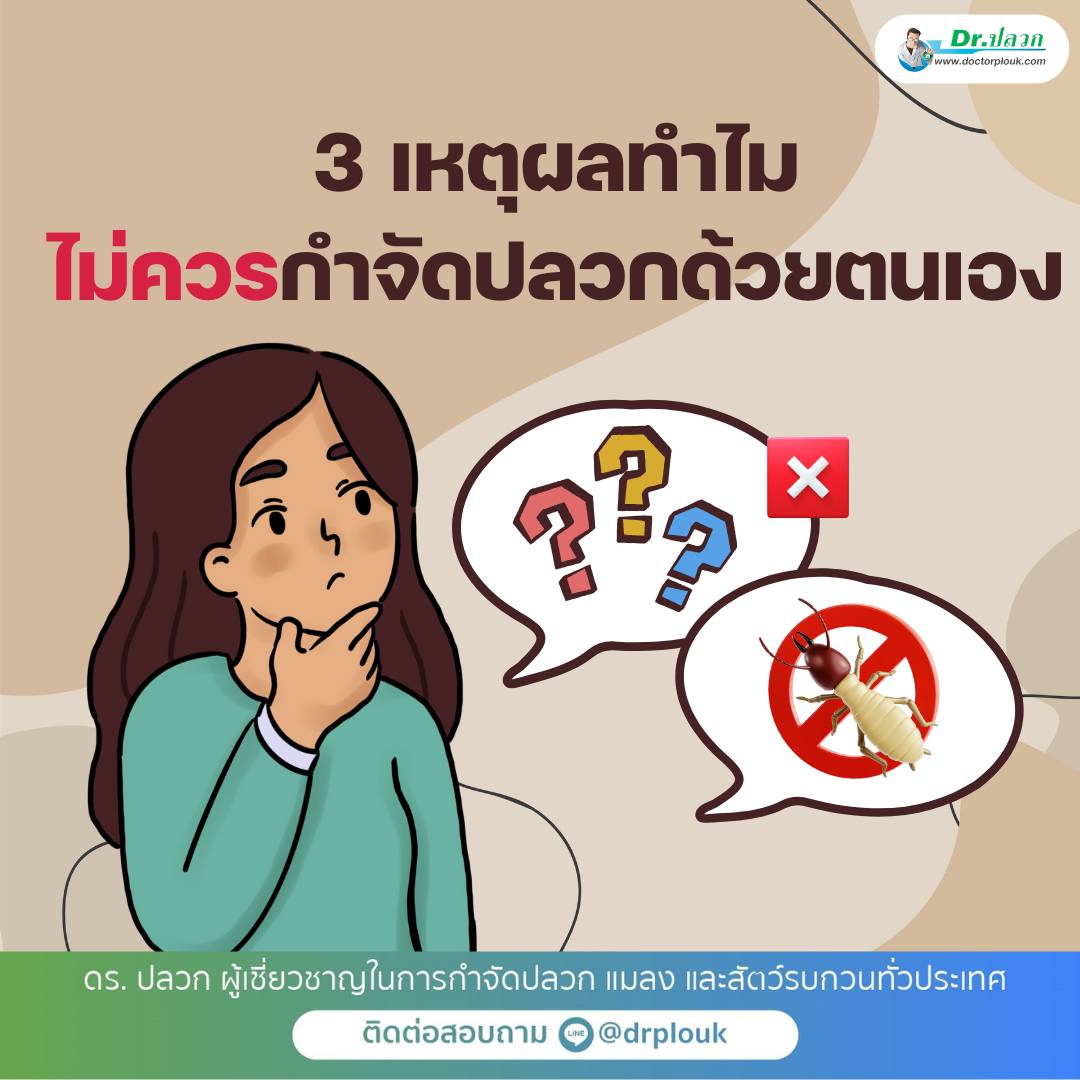 รูปภาพ 3 เหตุผลทำไม? ไม่ควรกำจัดปลวกด้วยตนเอง“Dr.ปลวก
