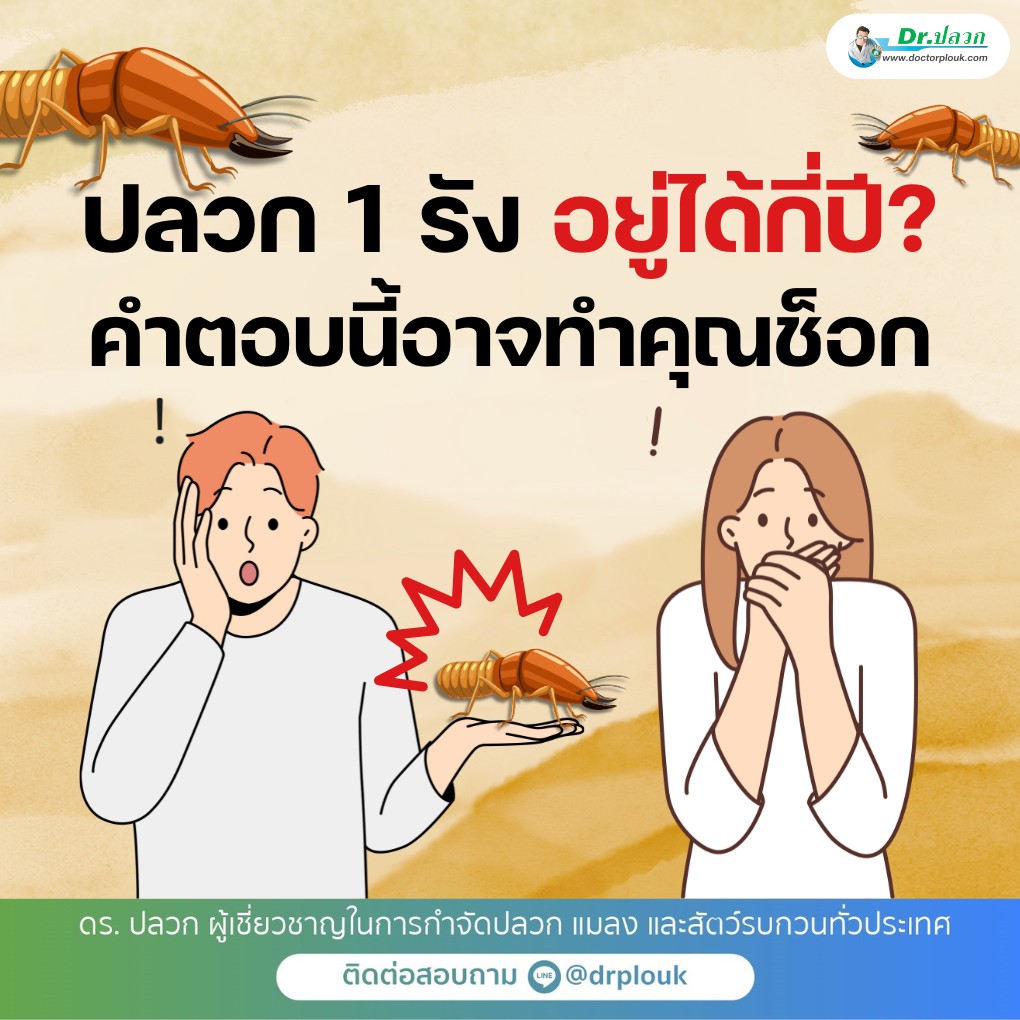 รูปภาพ ปลวก 1 รัง(อยู่ได้กี่ปี?) คำตอบนี้! อาจทำคุณช็อก“Dr.ปลวก