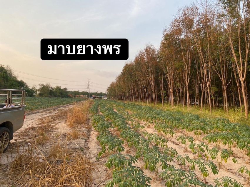 ที่ดินศักยภาพสูง มาบยางพร ระยอง พื้นที่สีม่วงใจกลางแหล่งอุตสาหกรรม  รูปที่ 4
