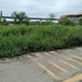 รูปย่อ ให้เช่า ที่ดิน เนื้อที่ 5 ไร่ ถนนประชาทร ลาดกระบัง รูปที่1