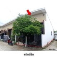 ขายทาวน์เฮ้าส์ เดอะ พาโน่ 1 (มาบข่า-ทับมา) ถ.บ้านหนองตะพาน-บ้านมาบข่า-บ้านหนองตะพาน ตำบล มาบข่า อำเภอ นิคมพัฒนา จังหวัด ระยอง