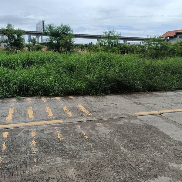 ให้เช่า ที่ดิน เนื้อที่ 5 ไร่ ถนนประชาทร ลาดกระบัง รูปที่ 4