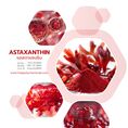 แอสตาแซนธิน, สารสกัดสาหร่ายแดง, ฮีมาโตคอคคัส, พลูวิเอลิส, Astaxanthin, Red Algae Extract