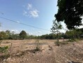 ขายที่ดิน ใกล้สนามกอล์ฟฟินิกส์   ขายยกแปลง  ห้วยใหญ่ พัทยา