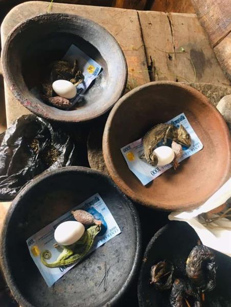 Powerful African Traditional Healer Online Call @ +27630716312 Powerful Black Magic Spells Caster . รูปที่ 3