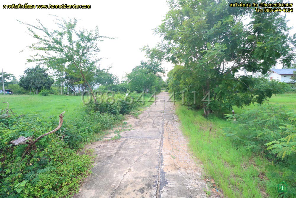 ที่ดิน 300 ตร.ว.ใกล้ทะเล เพชรบุรี ใกล้ หาดเจ้าสำราญ หาดปึกเตียน เพชรบุรี ในโครงการจัดสรร ติดถนนคอนกรีต 3 ด้าน รูปที่ 6