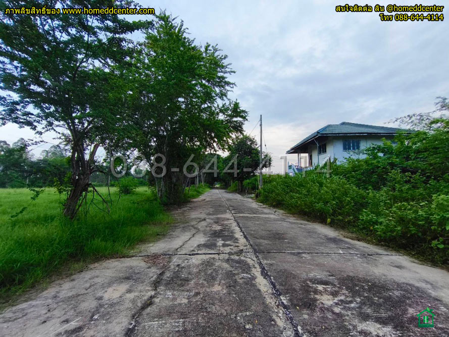ที่ดิน 300 ตร.ว.ใกล้ทะเล เพชรบุรี ใกล้ หาดเจ้าสำราญ หาดปึกเตียน เพชรบุรี ในโครงการจัดสรร ติดถนนคอนกรีต 3 ด้าน รูปที่ 5