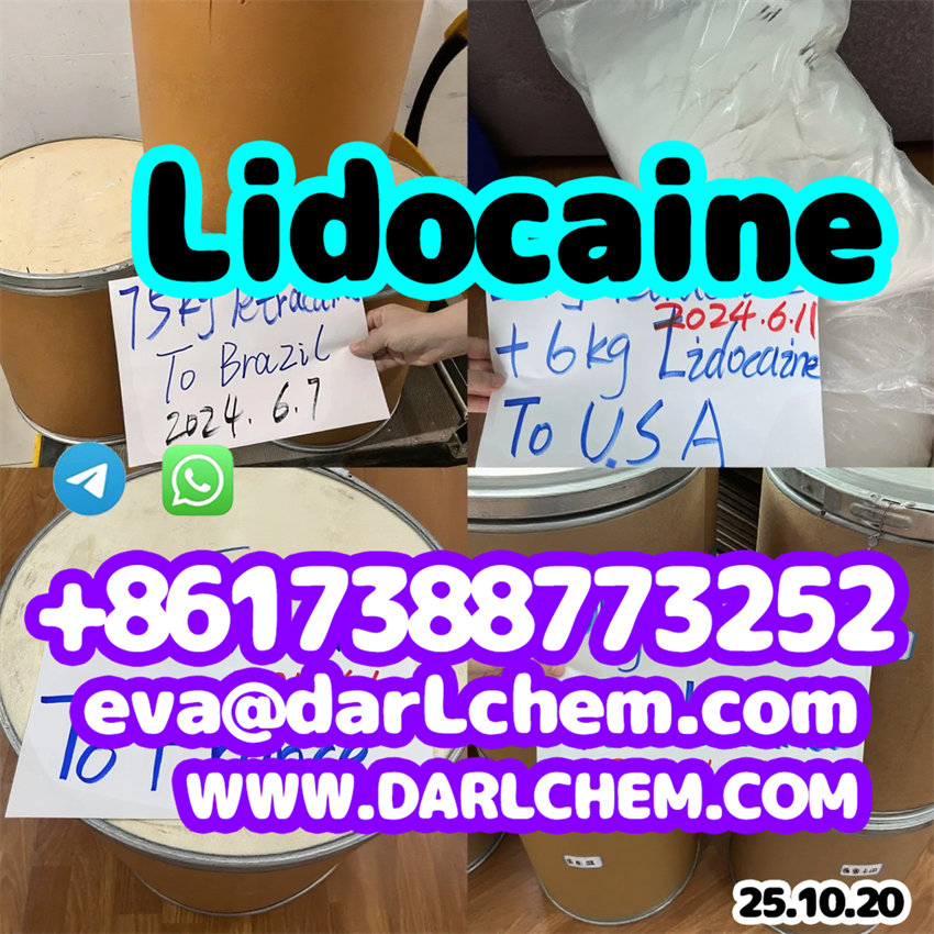 Factory Supply 99% Lidocaine base hcl crystals powder 137-58-6 Pharma Grade EpUSPBp รูปที่ 4