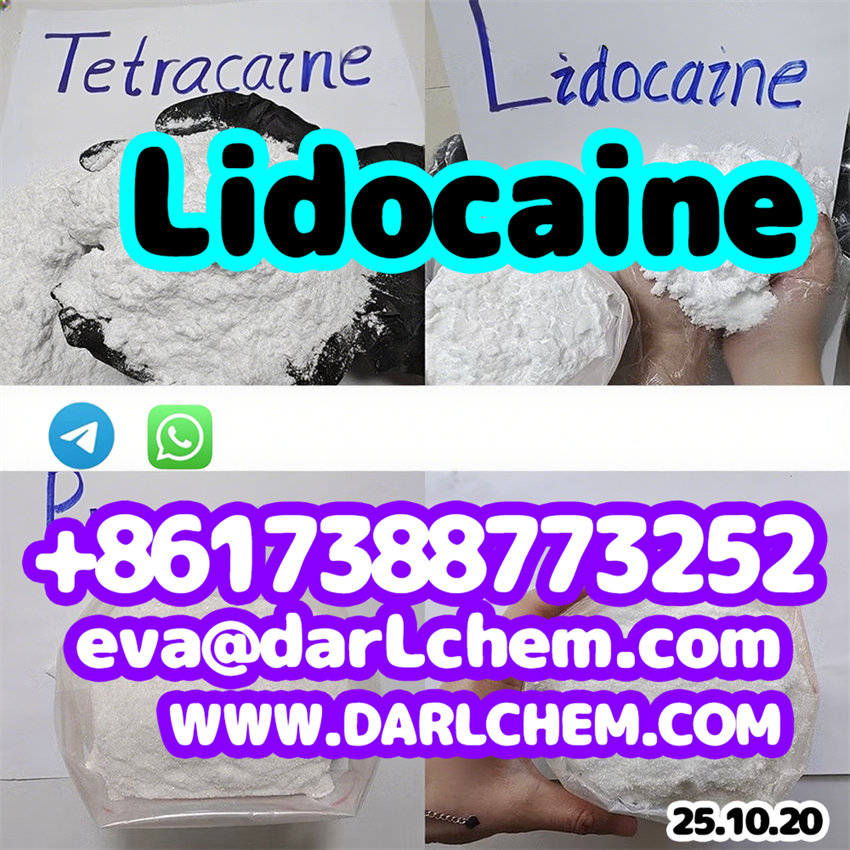 Factory Supply 99% Lidocaine base hcl crystals powder 137-58-6 Pharma Grade EpUSPBp รูปที่ 3