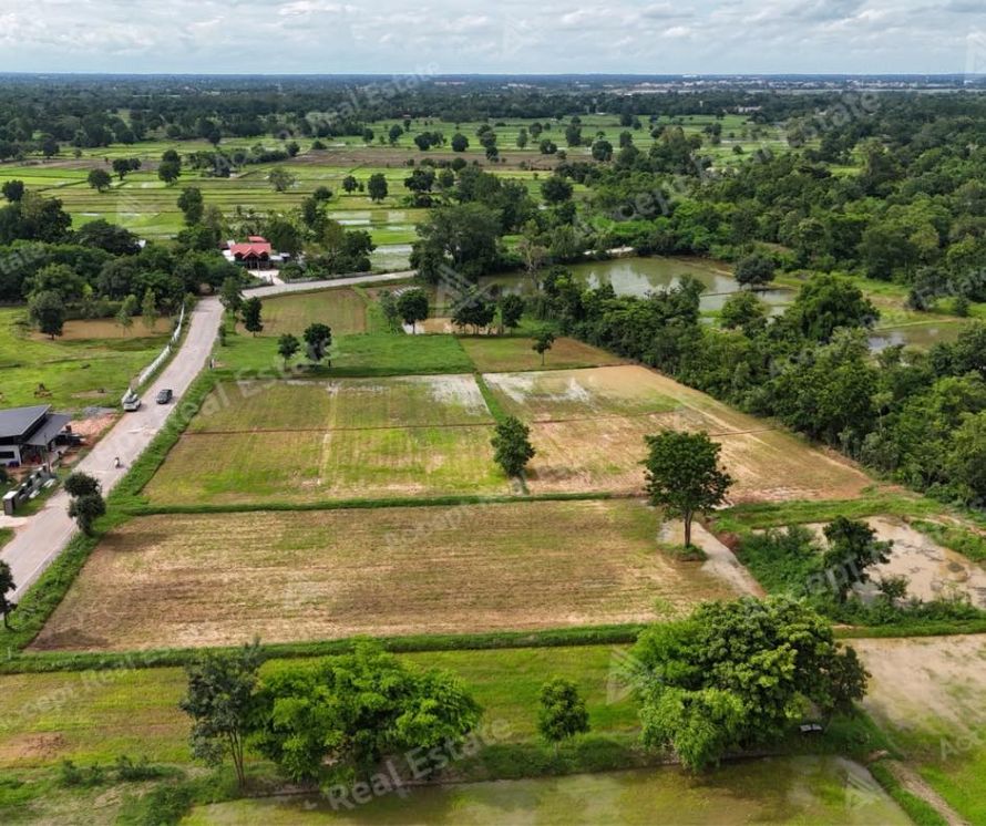ขายด่วนที่นาแปลงสวย ทำเลดี เมืองพล ขอนแก่น พื้นที่ 10 ไร่ รูปที่ 4