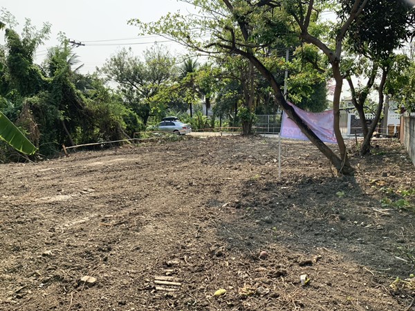 ขายที่ดิน บางใหญ่ ใกล้รถไฟฟ้า 99 วา 2.1 ล้าน 0864540423 รูปที่ 4