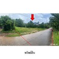 ขายบ้านเดี่ยว ถนน นาออก-คลองขนาน ตำบล เหนือคลอง อำเภอ เหนือคลอง จังหวัด กระบี่