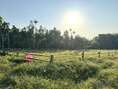 ขาย ที่ดินเปล่าสี่เหลี่ยมผืนผ้า แปลงมุม โฉนดครุฑแดง ต.บางบุตร บ้านค่าย-ระยอง 