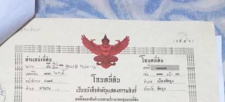 ขาย/ให้เช่า/หรือแลกเปลี่ยน ที่ดินสวนผลไม้ 1 ไร่ 2 งาน 3.8 ตร.ว. ติดคลองนุ้ย ต.ตำนาน อ.เมืองพัทลุง (ปัจจุบันกำลังปรับพื้นที่เพื่อปลูกไม้เศรษฐกิจ) รูปที่ 5
