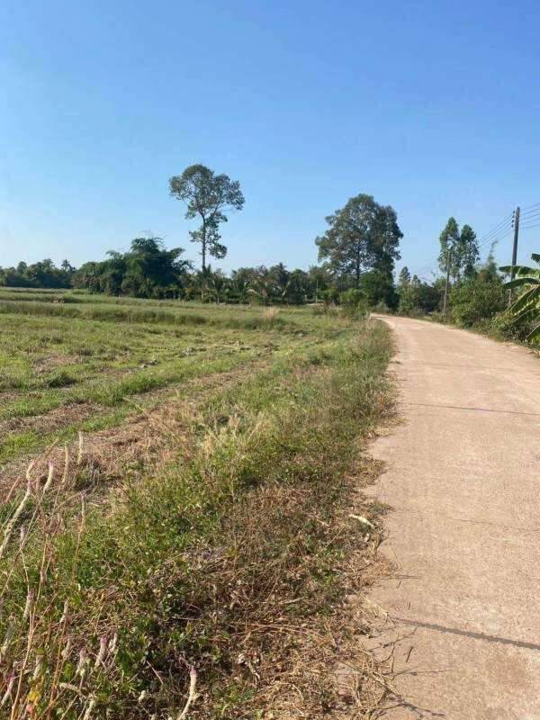 ขายที่ดินหลุดขายฝาก 7 ไร่ – ราคาพิเศษสุดในพื้นที่ อ.ศรีมหาโพธิ จ.ปราจีนบุรี รูปที่ 3
