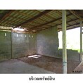 ขายบ้านเดี่ยว ถนน ต้นอ้าย-บ้านนาเขา ตำบล ควนกรด อำเภอ ทุ่งสง จังหวัด นครศรีธรรมราช
