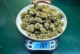 WhatsApp +1(581) 942-4296 Buy Weed Hashish Cocaine in Berlin Hamburg Munich Germany  