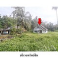 ขายบ้านเดี่ยว ถนน สำนัก-บางเบน (รน.1037) ตำบล ม่วงกลวง อำเภอ กะเปอร์ จังหวัด ระนอง