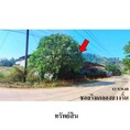 ขายโรงงาน/โกดัง ถนน เพชรเกษม (ทล.4) ตำบล บางริ้น อำเภอ เมืองระนอง จังหวัด ระนอง