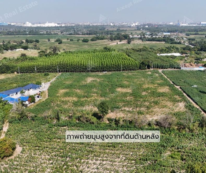 ขายที่ดินใกล้ทะเล อำเภอบ้านฉาง ระยอง 6-2-68 ไร่ รูปที่ 5