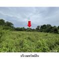 ขายที่ดินว่างเปล่า ถนน อัมพวา ตำบล คลองแห อำเภอ หาดใหญ่ จังหวัด สงขลา