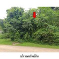 ขายที่ดินว่างเปล่า ถนน ถนนกาญจนวนิช (ทล.407) ตำบล คลองแห อำเภอ หาดใหญ่ จังหวัด สงขลา