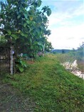 ขายที่ดินที่นา 365ตรว. 700,000บ. วิวเขา ถนน น้ำ ไฟฟ้า หลังที่ว่าการอำเภอ ต.บ้านธิ อ.บ้านธิ ลำพูน