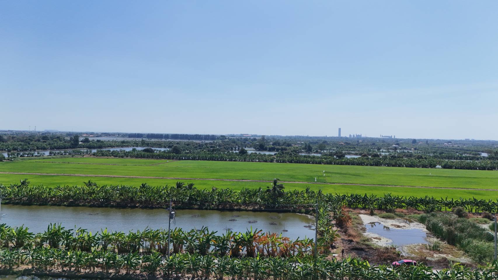 ขายที่ดิน 1 ไร่ ซอยวัดบัวโรย สมุทรปราการ รูปที่ 4