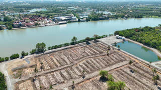 ที่ดินติดแม่น้ำบางปะกง วิวสวย ทำเลทอง ใกล้วัดสมานรัตนาราม รูปที่ 3