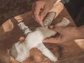 Return Lost lovers And Restore Broken Marriages Spells CALL @ +27672740459 How to Bring back Lost Love with immediate Guaranteed results IN DUBLIN- ALABAMA- BOSTON- TORONTO- PRETORIA
