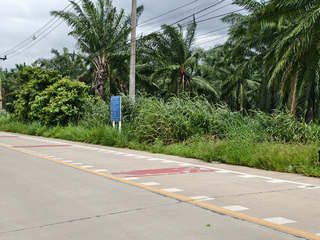 ขายที่ดิน เหมาะสร้างโครงการบ้าน ห้องเช่า ใกล้นิคม WHA ESIE 3 หนองใหญ่ ชลบุรี รูปที่ 5