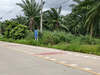 รูปย่อ ขายที่ดิน เหมาะสร้างโครงการบ้าน ห้องเช่า ใกล้นิคม WHA ESIE 3 หนองใหญ่ ชลบุรี รูปที่5