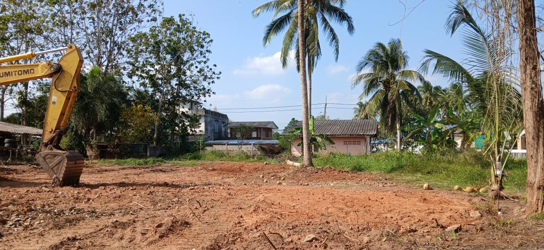 ขายที่ดินเปล่าบนเนิน โฉนด 1 งาน 15.9  ตร.ว. อยู่ในชุมชน ต.นาชะอัง อ.เมืองชุมพร ห่างศาลากลางจังหวัดเพียง 3 กม. ที่เนินปลอดภัยจากน้ำท่วม รูปที่ 5