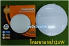 รูปย่อ โคมไฟซาลาเปาติดผนังZEBERGพร้อม หลอดไฟLED24วัตต์ ZB10.- รูปที่1