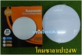 โคมไฟซาลาเปาติดผนังZEBERGพร้อม หลอดไฟLED24วัตต์ ZB10.-