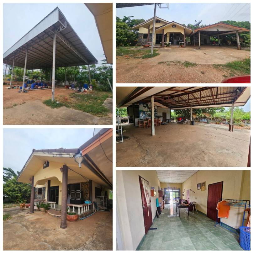 ขายบ้านพร้อมที่ดิน ติดการไฟฟ้าส่วนภูมิภาคจังหวัดชัยภูมิ รูปที่ 5