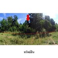 ขายที่ดินว่างเปล่า ถนน สายบ้านนากลาง-บ้านโป่งแมลงวัน (นม.2144) ตำบล โคกกรวด อำเภอ เมืองนครราชสีมา จังหวัด นครราชสีมา
