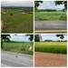 รูปย่อ ขายที่ดินสวยราคาถูก ในตำบลไตรตรึงษ์ อำเภอเมืองกำแพงเพชร ติดถนนสองด้าน ติดทางสาธารณะ รูปที่5