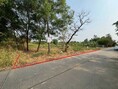 ที่ดินเปล่า ถมแล้วในโครงการ เวิลด์คลับแลนด์ ซอย 1 ถนนคลองหลวง ตำบลคลองสาม อำเภอคลองหลวง จังหวัดปทุมธานี