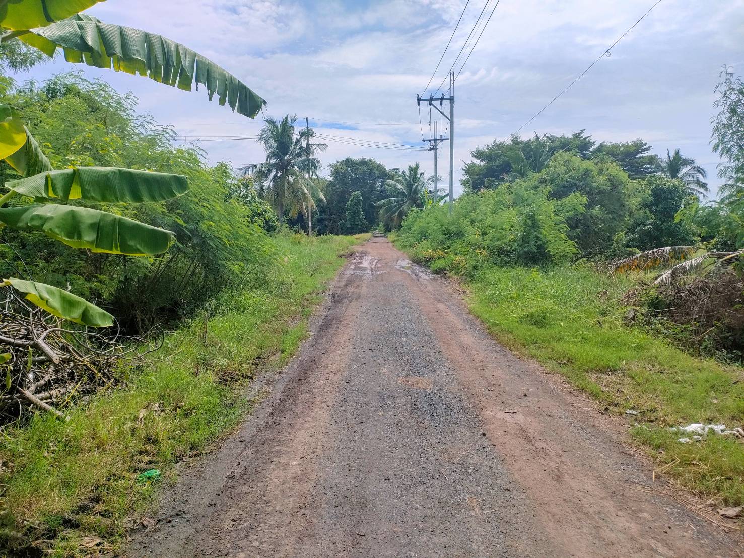 ขายที่ดินเปล่าในถนนร่วมพัฒนา เขตหนองจอก กรุงเทพมหานคร รูปที่ 2