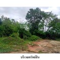 ขายที่ดินว่างเปล่า ถนน สายนครราชสีมา-อุบลราชธานี (ทล.226) ตำบล หนองคู อำเภอ ลำปลายมาศ จังหวัด บุรีรัมย์