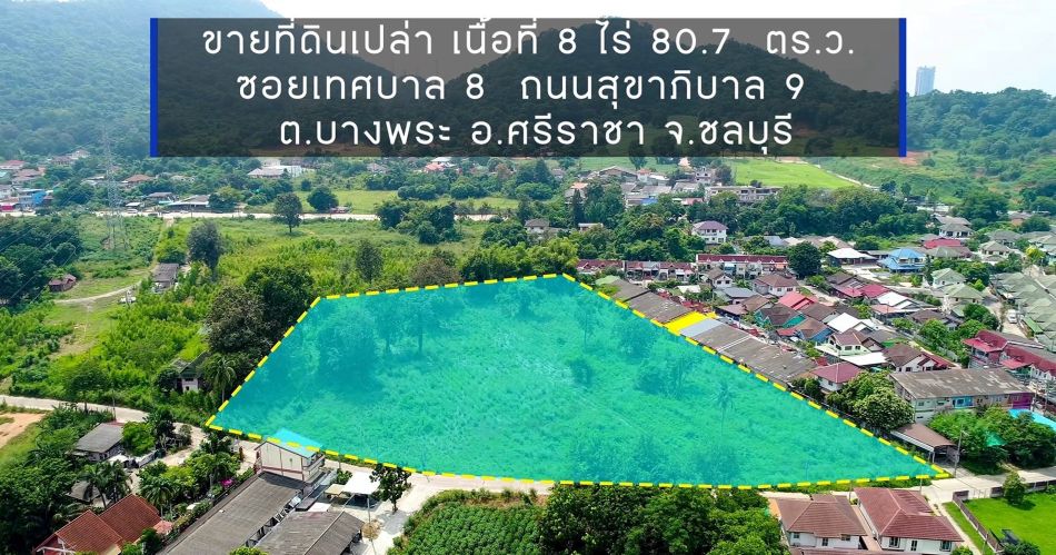 ขายที่ดินบางพระ ศรีราชา ชลบุรี 8ไร่ 80 ตร.ว.  รูปที่ 3
