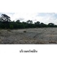 ขายที่ดินว่างเปล่า ถนน วารีราชเดช (ทล.2169) ตำบล น้ำคำใหญ่ อำเภอ เมืองยโสธร จังหวัด ยโสธร